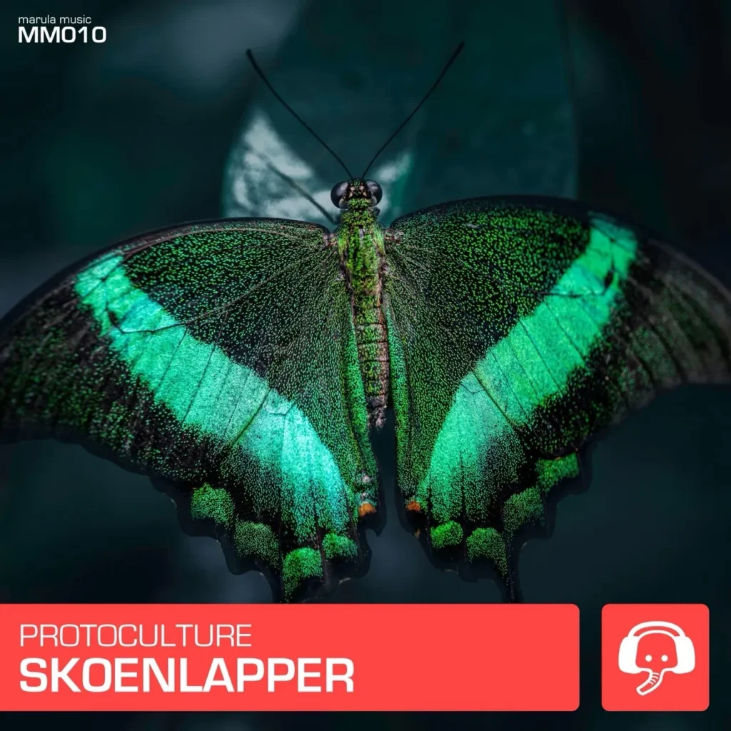 Skoenlapper